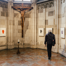 Erzdiözese Wien/Schönlaub