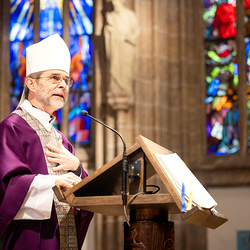 Bischofsprimizmesse Perchtholdsdorf / Erzdiözese Wien/Schönlaub