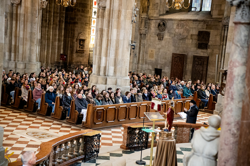 Erzdiözese Wien/Schönlaub